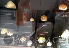 IMG_20190908_143116.jpg
