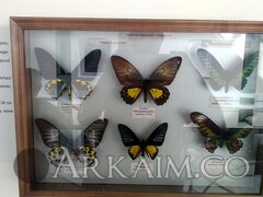 IMG 20190908 145317