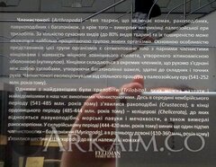 IMG_20190908_141805.jpg