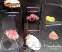 IMG_20190908_143338.jpg