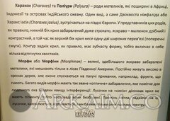 IMG 20190908 144844