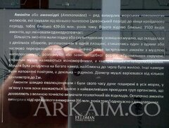 IMG_20190908_142455.jpg