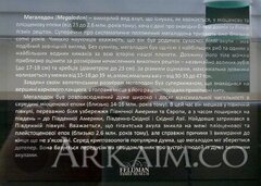 IMG 20190908 141305