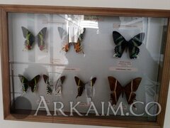 IMG_20190908_145432.jpg