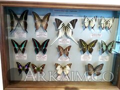 IMG_20190908_145005.jpg