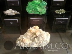 IMG_20190908_143712.jpg