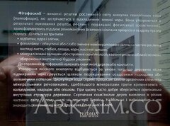 IMG_20190908_142017.jpg