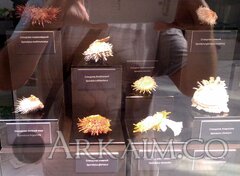 IMG_20190908_143334.jpg