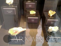 IMG_20190908_144024.jpg