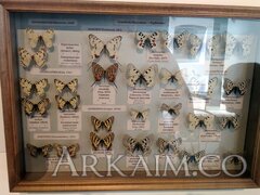 IMG_20190908_144952.jpg
