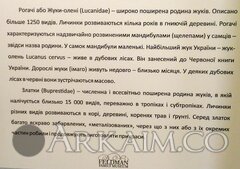 IMG 20190908 144710