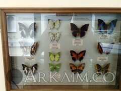IMG_20190908_144902.jpg