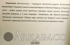 IMG_20190908_144943.jpg