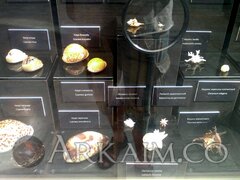 IMG_20190908_143105.jpg