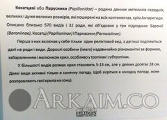 IMG_20190908_144933.jpg