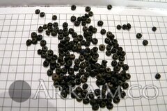 72683_1421576660.jpg