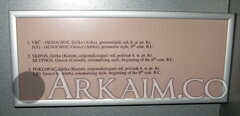 IMG 0293