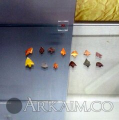 IMG 20200117 151637