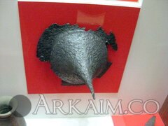 IMG 0573