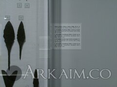 IMG_20200117_143409.jpg