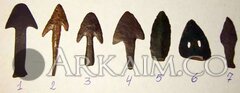 PA070650