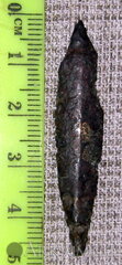 IMG 8458