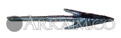 Северный Кавказ