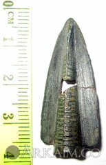 нким 0043
