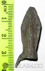 нким 0021