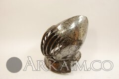 shop_items_catalog_image258.jpg