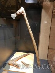 1470748052 9. reperti museo delle palafitte Di fiav 35