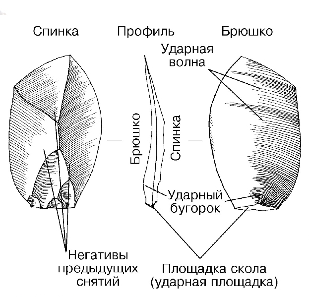 6194bf0bcb4ca_img16.jpg
