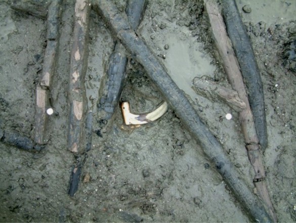 58ed0fc829e7f_bronzesickle2585x441.jpg