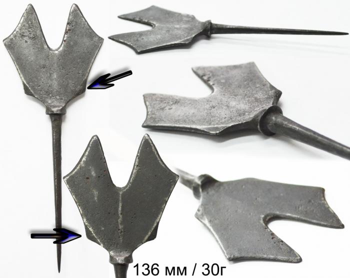 58d89669ce21e_49.jpg