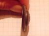 post-110-0-28937800-1358012290_thumb.jpg