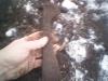 post-50-0-48893900-1357212257_thumb.jpg