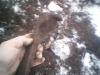 post-50-0-50108600-1357212290_thumb.jpg