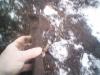 post-50-0-59292800-1357212275_thumb.jpg
