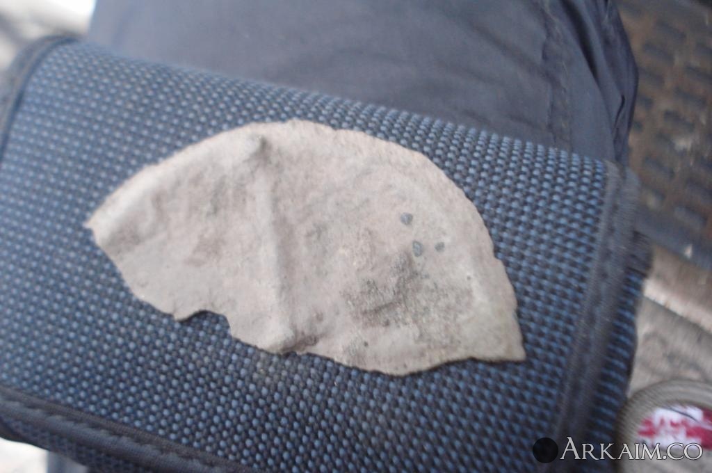 post-1144-0-72747700-1483373349_thumb.jpg