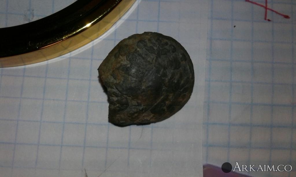 post-1101-0-78770700-1548613279_thumb.jpg