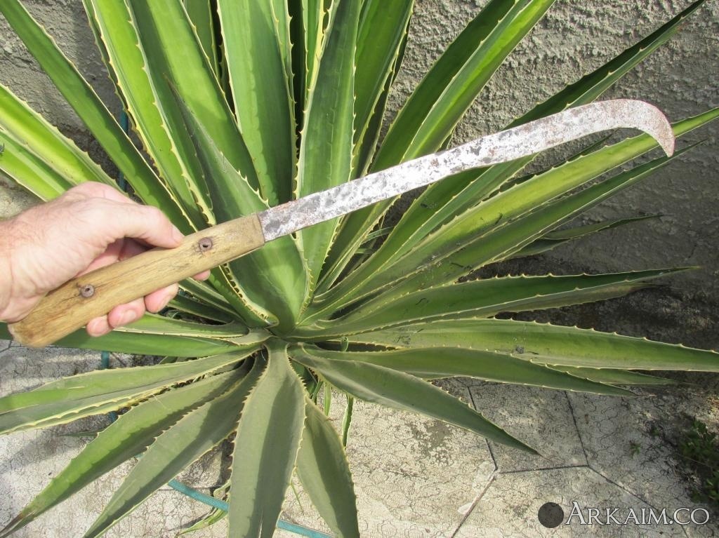 post-1237-0-99927000-1546687655_thumb.jpg
