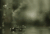 post-3-0-54743700-1361223153_thumb.gif
