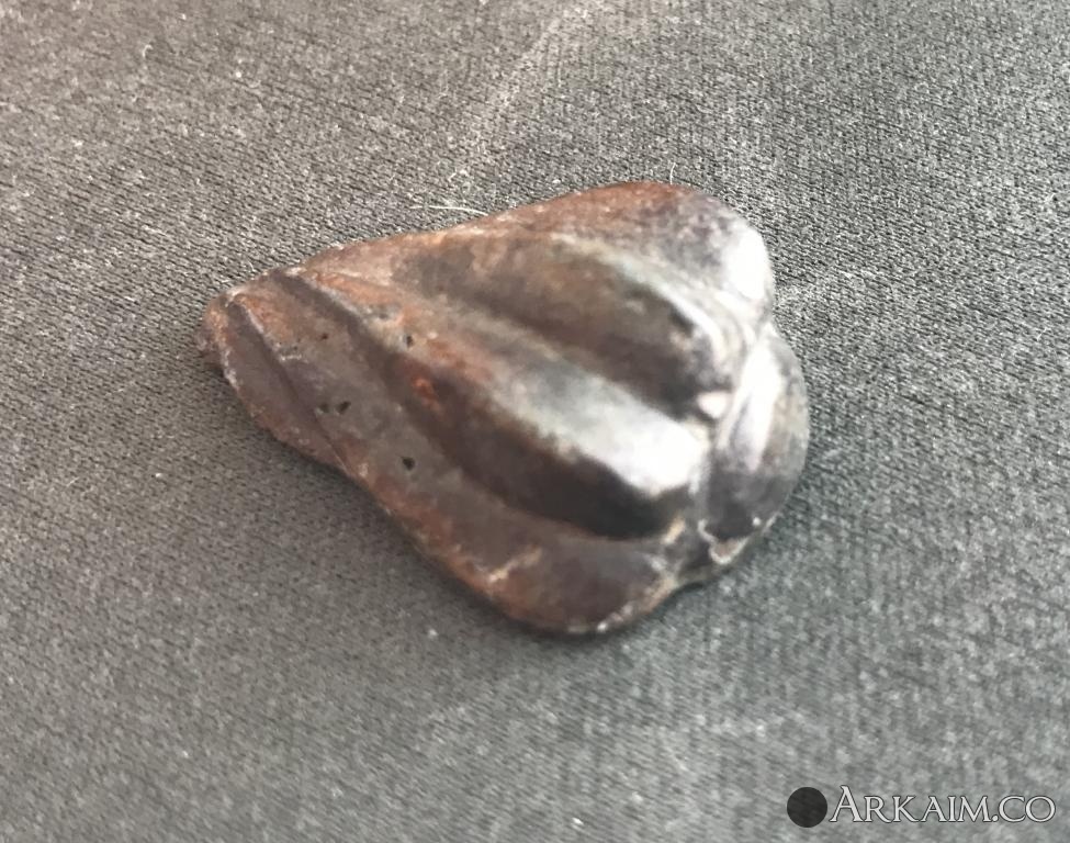 post-1000-0-54484300-1519210911_thumb.jpeg