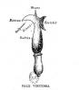 post-3-0-49609700-1362691016_thumb.jpg