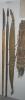post-3-0-63309900-1362875739_thumb.jpg