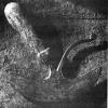 post-3-0-92847300-1362781352_thumb.jpg