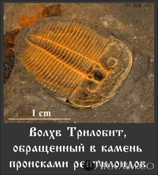 post-3-0-68685600-1458634068_thumb.jpg
