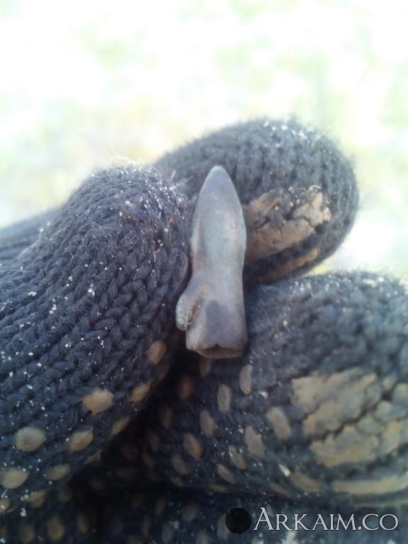 post-1292-0-10010700-1495741578_thumb.jpg