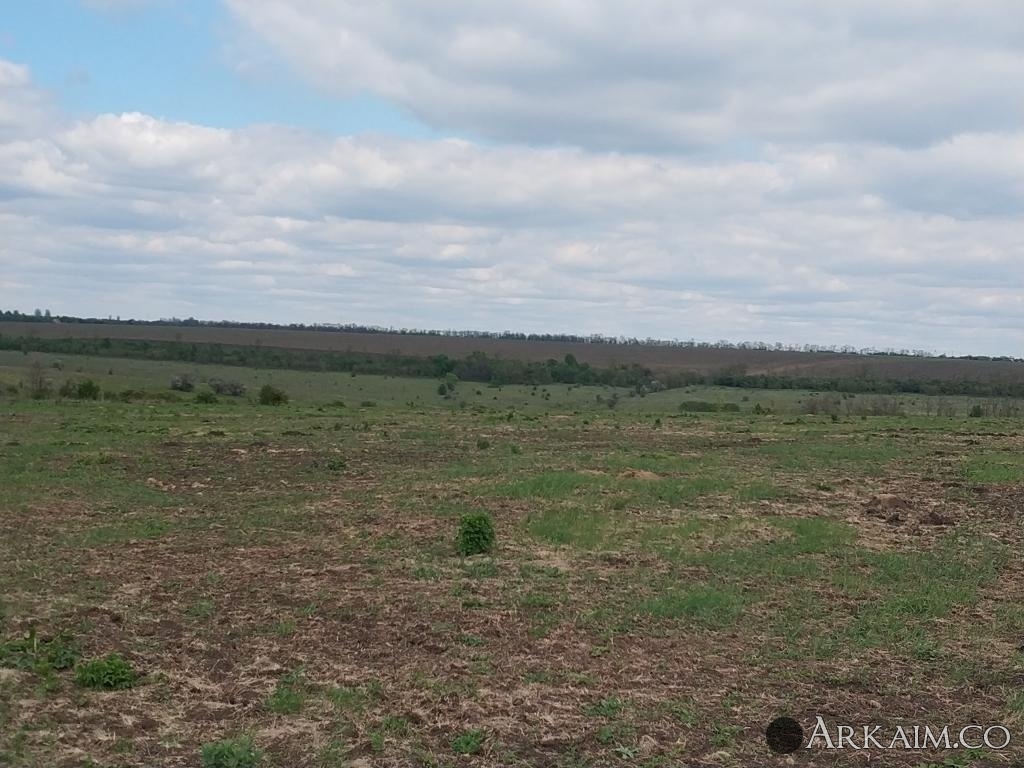 post-2165-0-87164400-1589621876_thumb.jpg