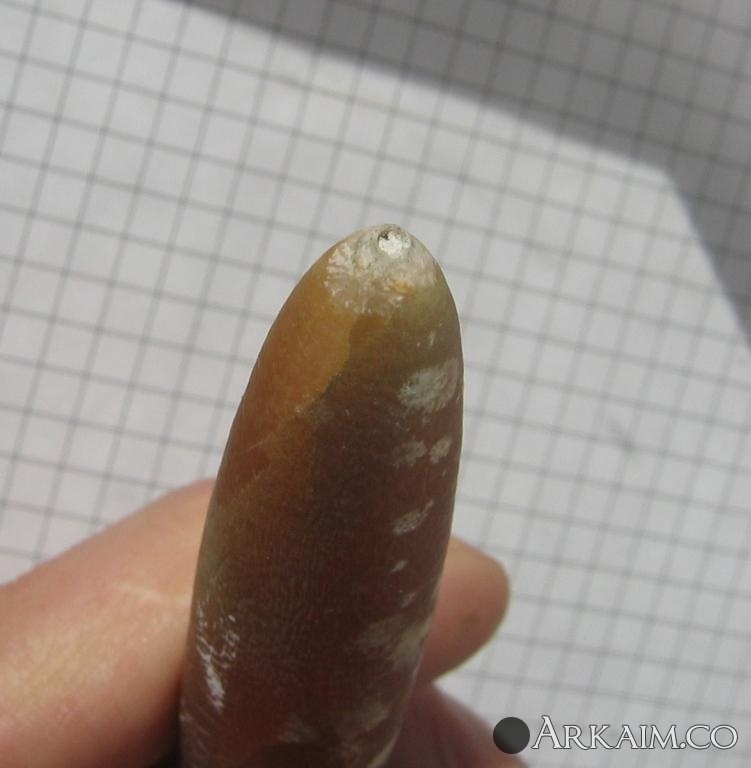 post-1142-0-18766800-1498036884_thumb.jpg
